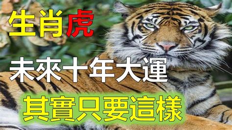 1974虎女2023年運勢|1974年属虎人2023年运势及运程 74年49岁生肖虎2023年每月运。